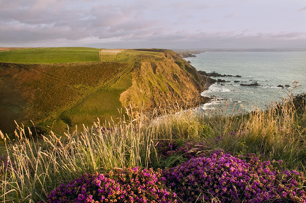 SWBC supports the Coast Path