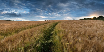 SWBC Quarterly Conference – September 2022 – Natural Capital: Business and the Environment Working Together