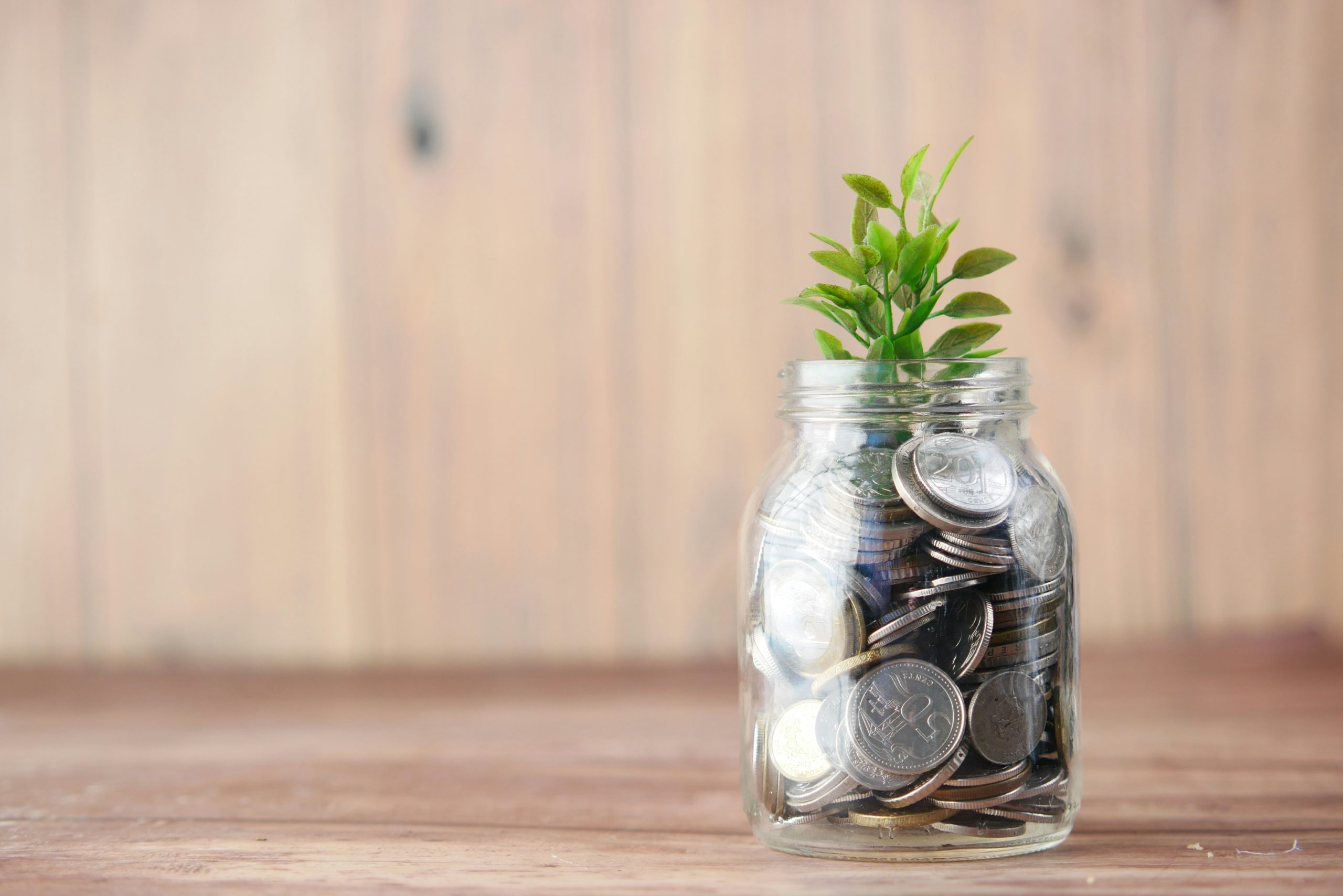 Economic green shoots or are the statistics wrong? – by Tim Jones