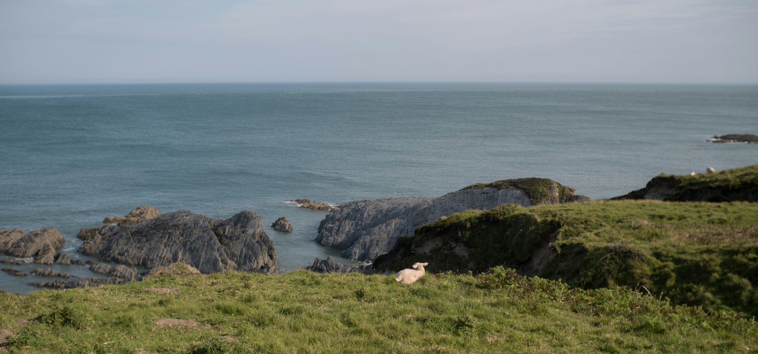 Northern Devon – a glimpse of the future – by Tim Jones