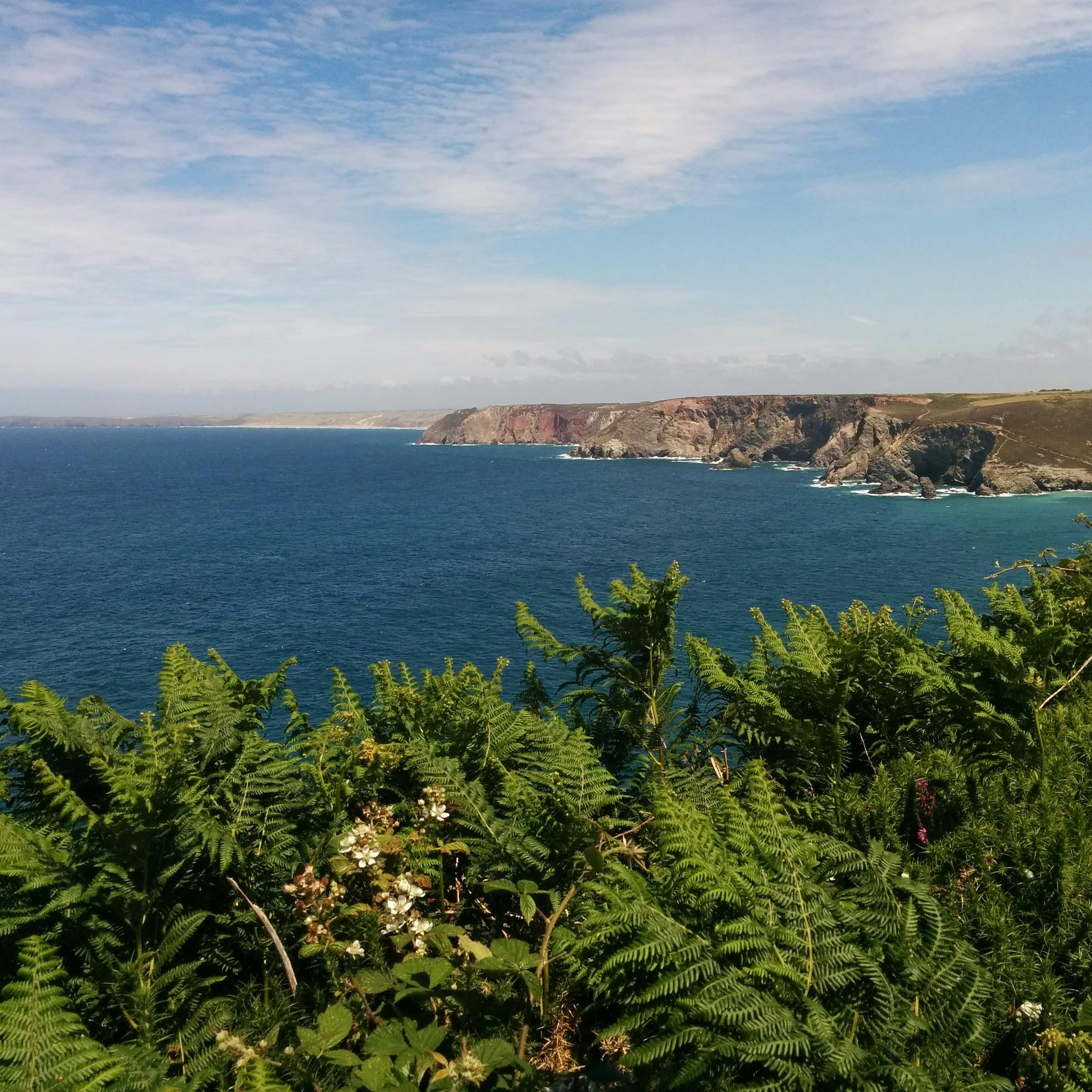 “Great South West” – what does this mean for Northern Devon? – Tim Jones