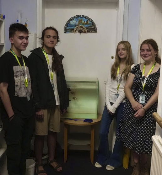 Community Fish Tank Gets a Facelift