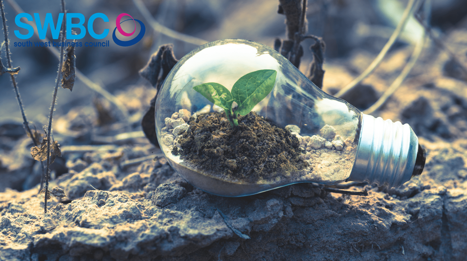 Green Growth that works: why nature must be designed in, not bolted on